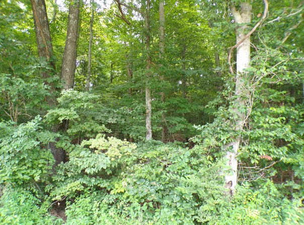 S Co Rd 350 W Boulevard, Paoli, IN 47454
