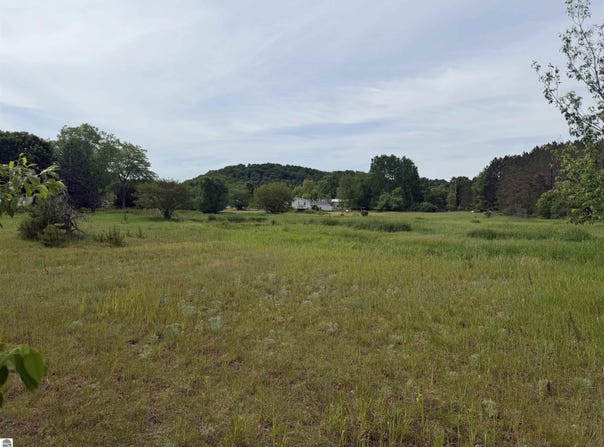 Pearl Street, Thompsonville, MI 49683