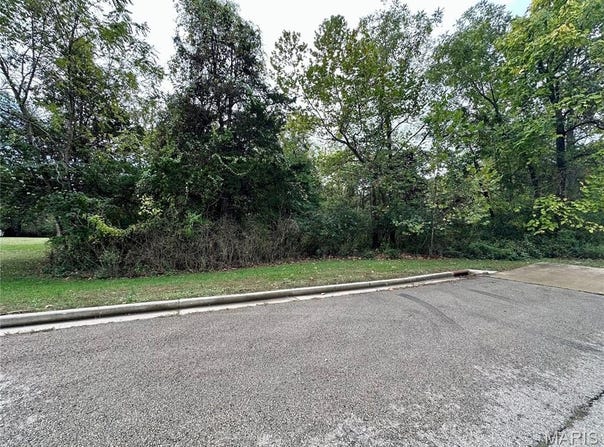Tbd Shady Lane, Rolla, MO 65401