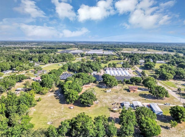 4162 LAUGHLIN, MOUNT DORA, FL 32757