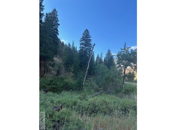 Tbd N Hwy 93, North Fork, ID 83466
