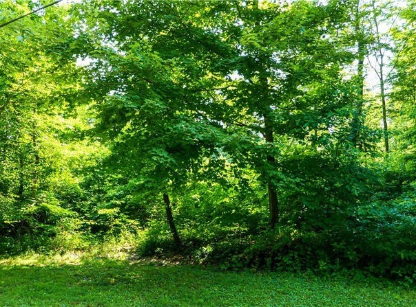 V/L Fenstermaker Road, Garrettsville, OH 44231