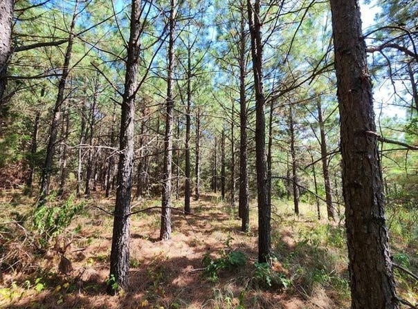2  TBD Poteau Mountain, Heavener, OK 74937