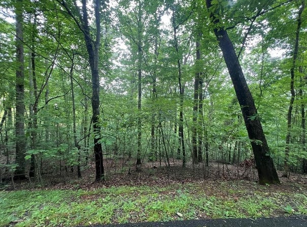 Ash Branch Circle, Hayesville, NC 28904