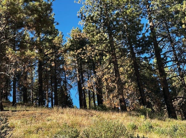1 Conway Dr Drive, Running Springs, CA 92382