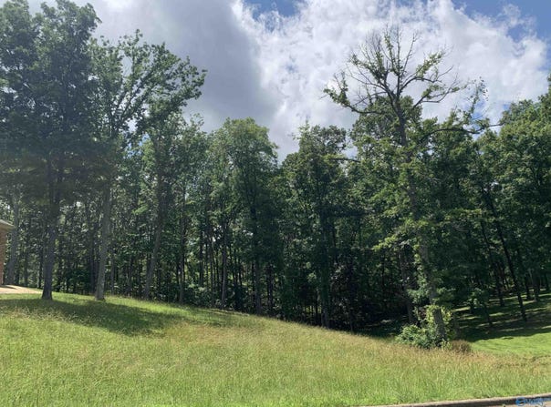 208 Heritage View Circle, Gurley, AL 35748