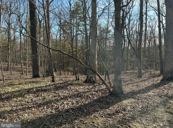MISTY MEADOWS Lane, AUGUSTA, WV 26704