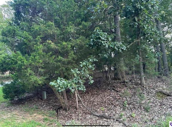 539 Strawberry Hill Drive, Brandenburg, KY 40108