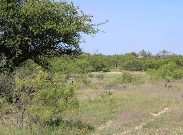 414 County Road 414, Brady, TX 76825