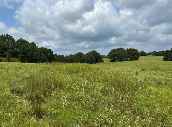0000 woody pace rd, Antler, OK 74523