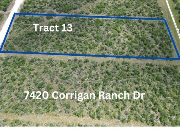 Skidmore, TX 78389