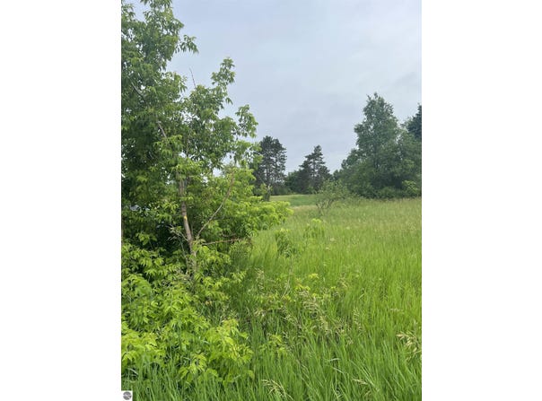 15040 NORTH STREET, THOMPSONVILLE, MI 49683
