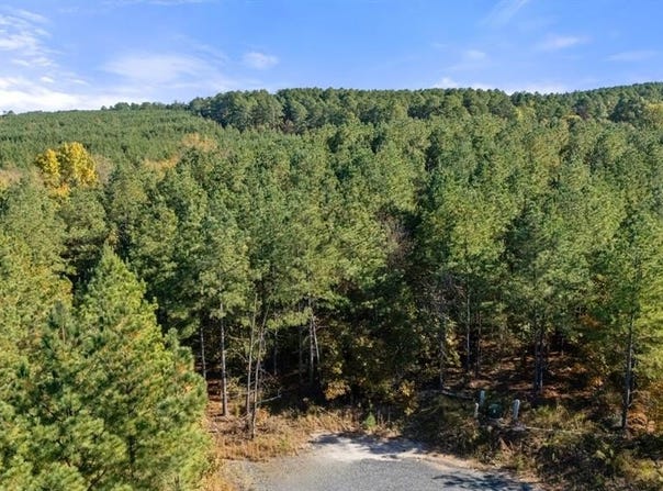 14 Gopher Wood Trail, Broken Bow, OK 74728