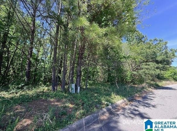 204 MELBOURNE CIRCLE lot: 326, BIRMINGHAM, AL 35022