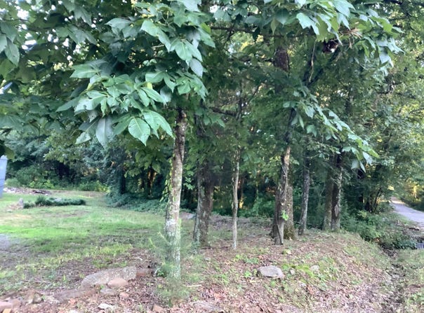 148 Wolf Hollow Rd., Bald Knob, AR 72010-0000