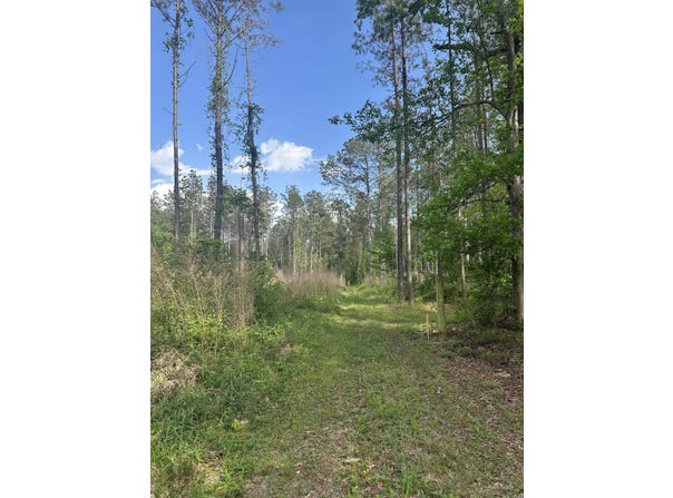 Hwy 67, Malvern, AR 72104