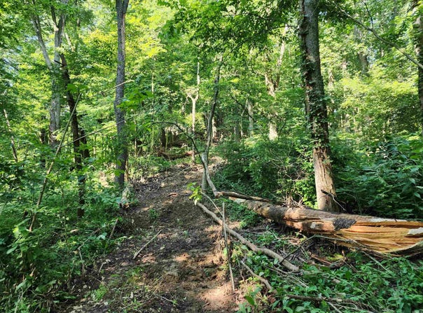 18 +/- Acres County Road 1250 West, Medora, IN 47260