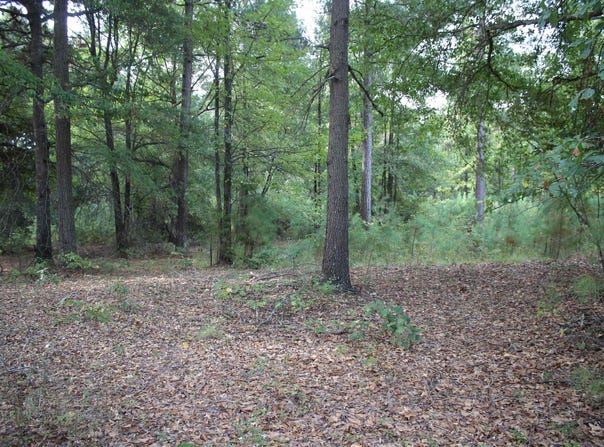 S Bingen Cir., Nashville, AR 71852