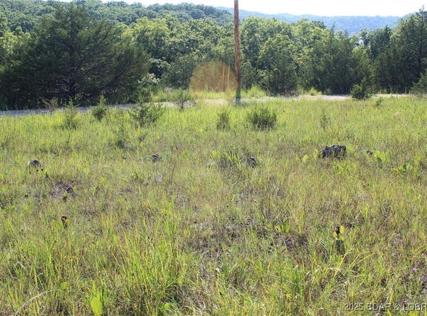 Niagra Drive, Rocky Mount, MO 65072