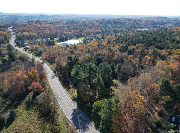 1195 NYS Route 17B, Mongaup Valley, NY 12762