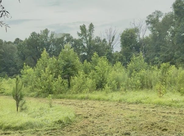 Us-51, Crystal Springs, MS 39059