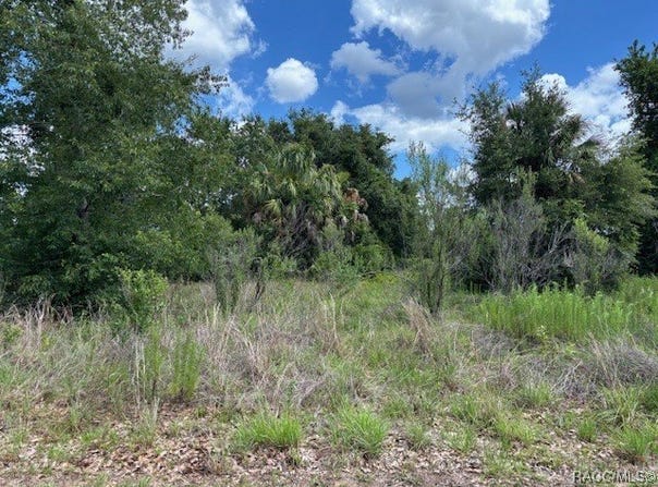 4279 E Texas Street, Hernando, FL 34442
