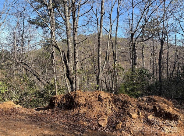 Kathy Lake Drive unit: 24/25, Edneyville, NC 28792