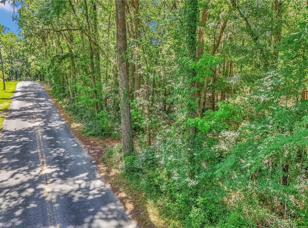 SE 130TH STREET, BELLEVIEW, FL 34420