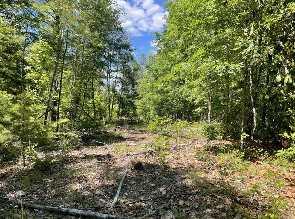 0 HWY 17, Butler, AL 36904