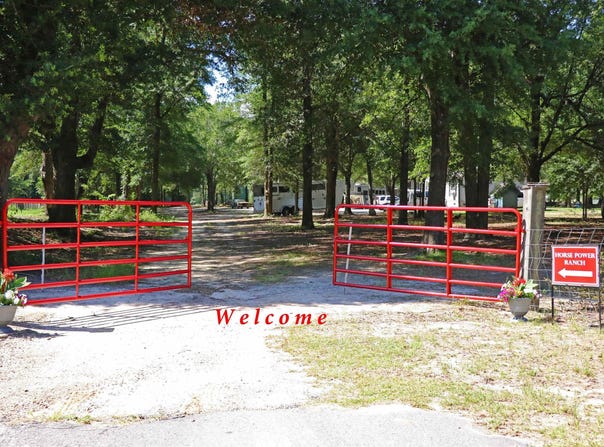 301 Ernest Johnson Road, Wagener, SC 29164