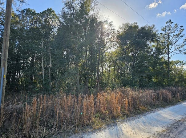 15100 SW 28TH LANE, OCALA, FL 34481