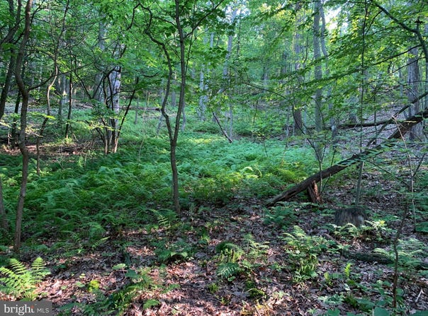 OLD HANCOCK ROAD, CUMBERLAND, MD 21502