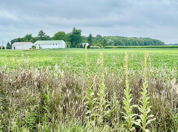 10800 South Road, Waldron, MI 49288