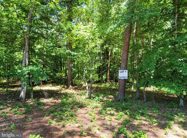BURRISVILLE ROAD, CENTREVILLE, MD 21617