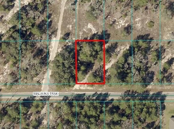 Tbd Lot 12 MALAUKA TRACK, OCKLAWAHA, FL 32179
