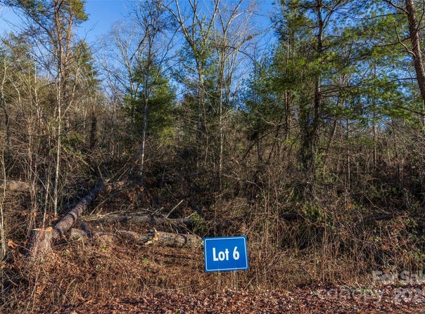 112 Saddle Ridge Drive, Alexander, NC 28701