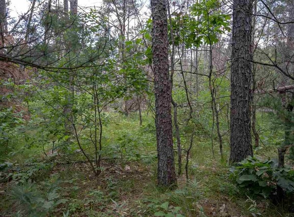 N8275 Woodland Trail, New Lisbon, WI 53950