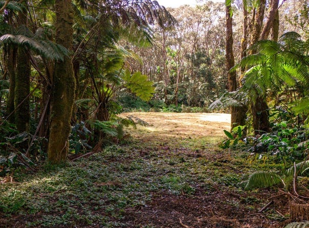 11-3909 4TH ST, Volcano, HI 96785