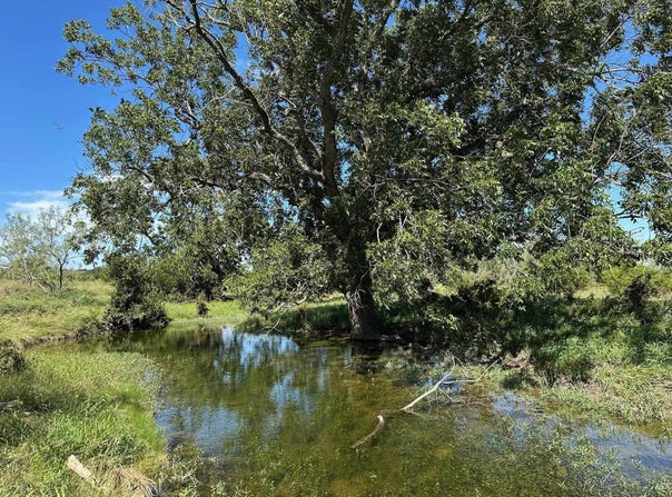 Unk County Road 330, Bertram, TX 78605