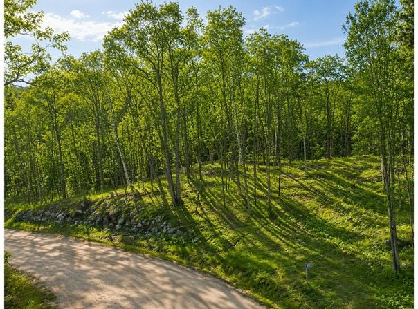480 Ridgeway Lane, Walker, MN 56484