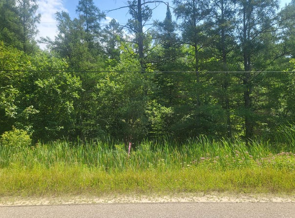 VL Eagle Point Road, Grayling, MI 49738