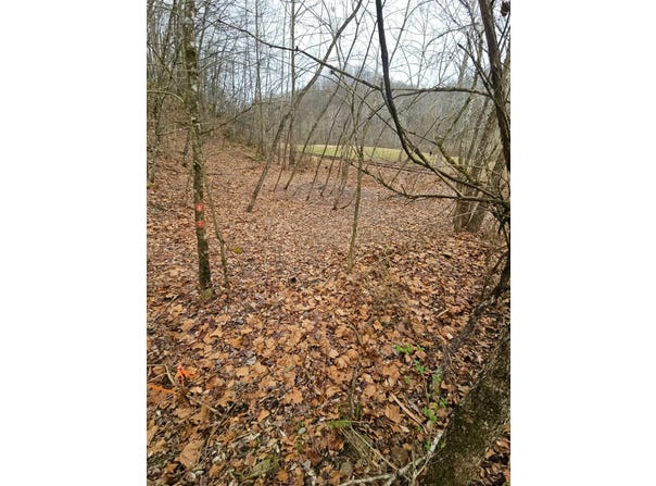 TBD Copen Rd, Copen, WV 26615