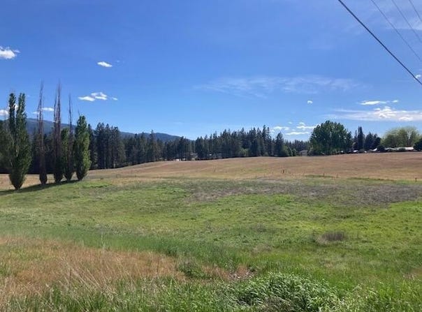1XXX JUNIPER ST, KETTLE FALLS, WA 99141