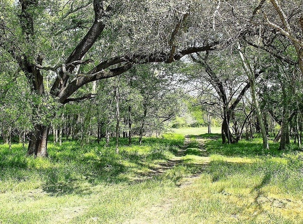 Scott Road, Weimar, TX 78962