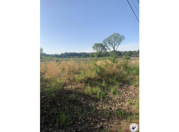4.94 Acres Mount Olive, Texarkana, AR 71854