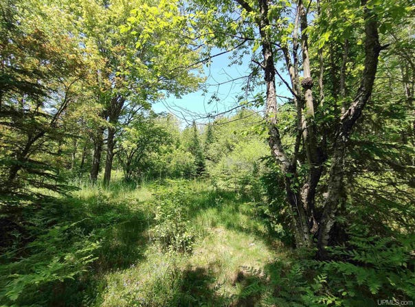 8930 Sand Lake, Au Train, MI 49806