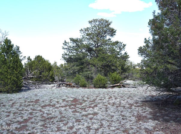 20203017 Griffin Road, Williams, AZ 86046