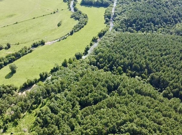 5.45 Acres +/- Off PR 3629, Lamar, AR 72846