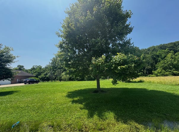 Private Drive 123, Proctorville, OH 45669