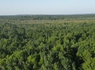 3607 Bawkey Road W, Farwell, MI 48622